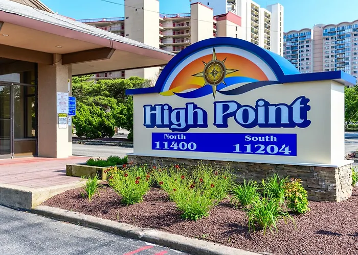 Hpn 11g - Salty Sandpiper *